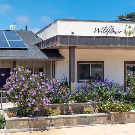 Wildflower Boutique Motel Point Arena Esterno foto