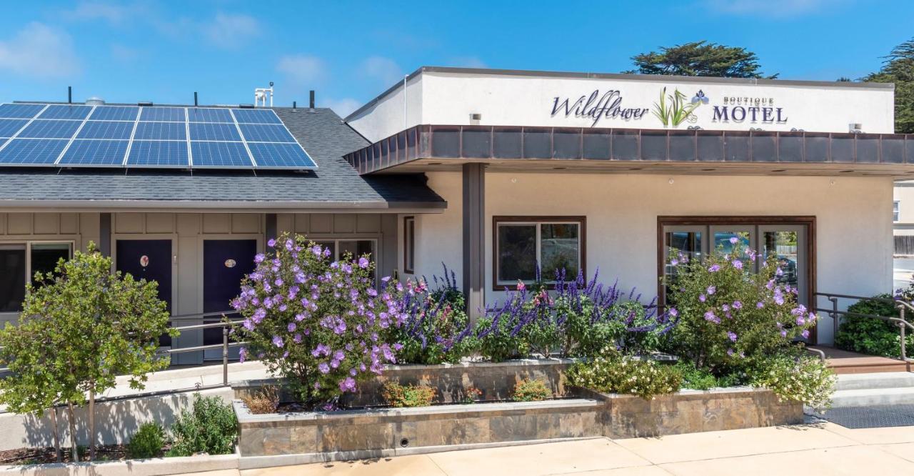 Wildflower Boutique Motel Point Arena Esterno foto